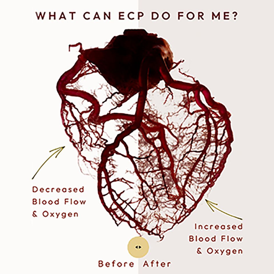 Heart blood flow