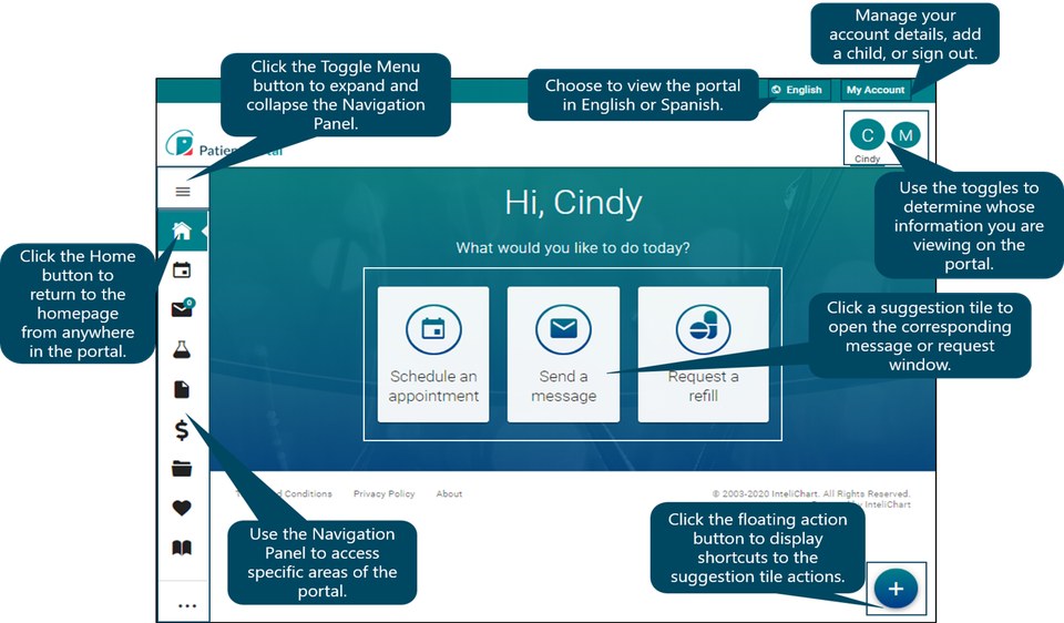 Larger patient portal navigation