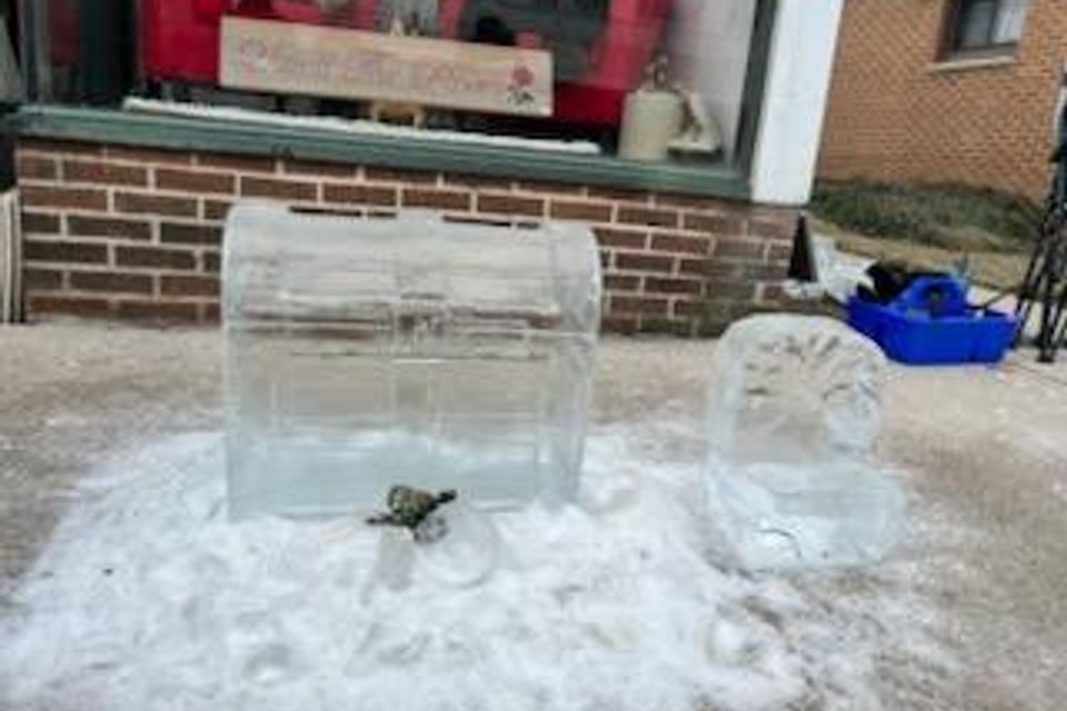 Ice carving 2025 44