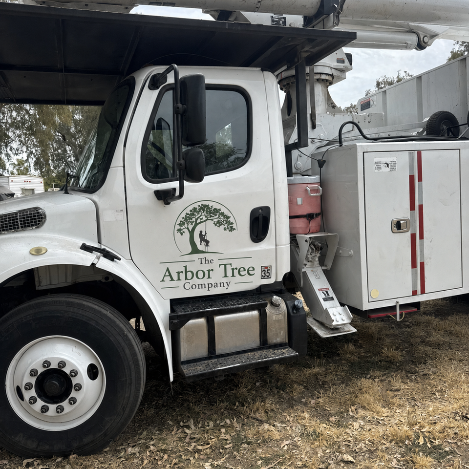 Fully bonded and insured tree care crew on a job site near Woodland CA