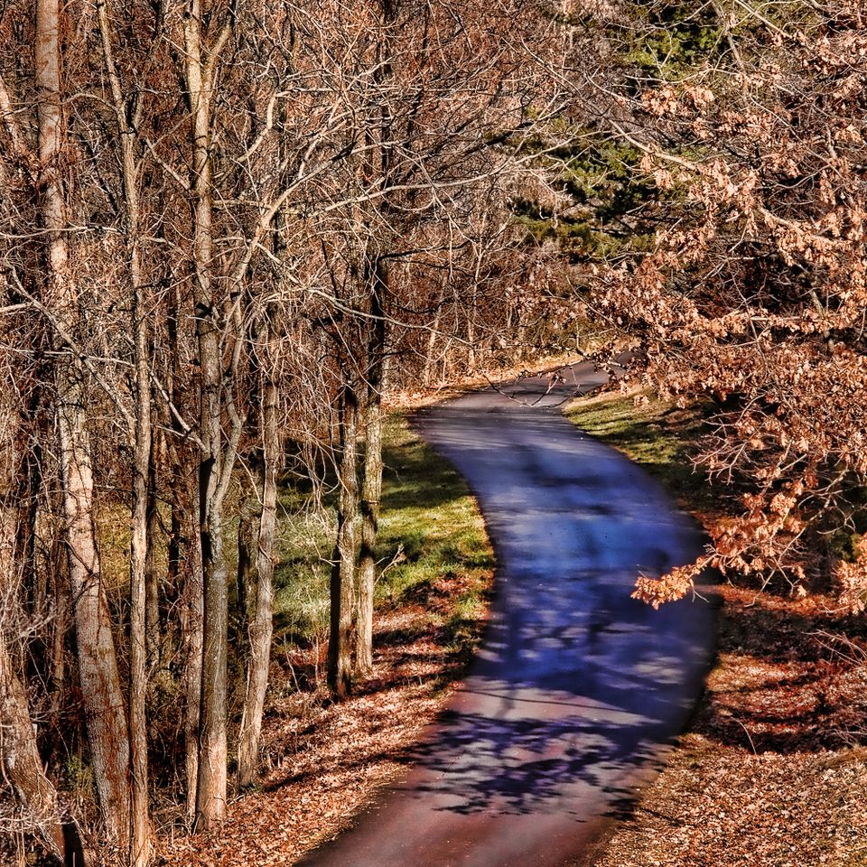 Autumn drive