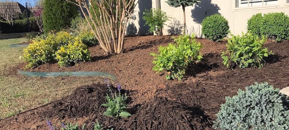 Landscaping solutions   tulsa oklahoma   seasonal planting   image2
