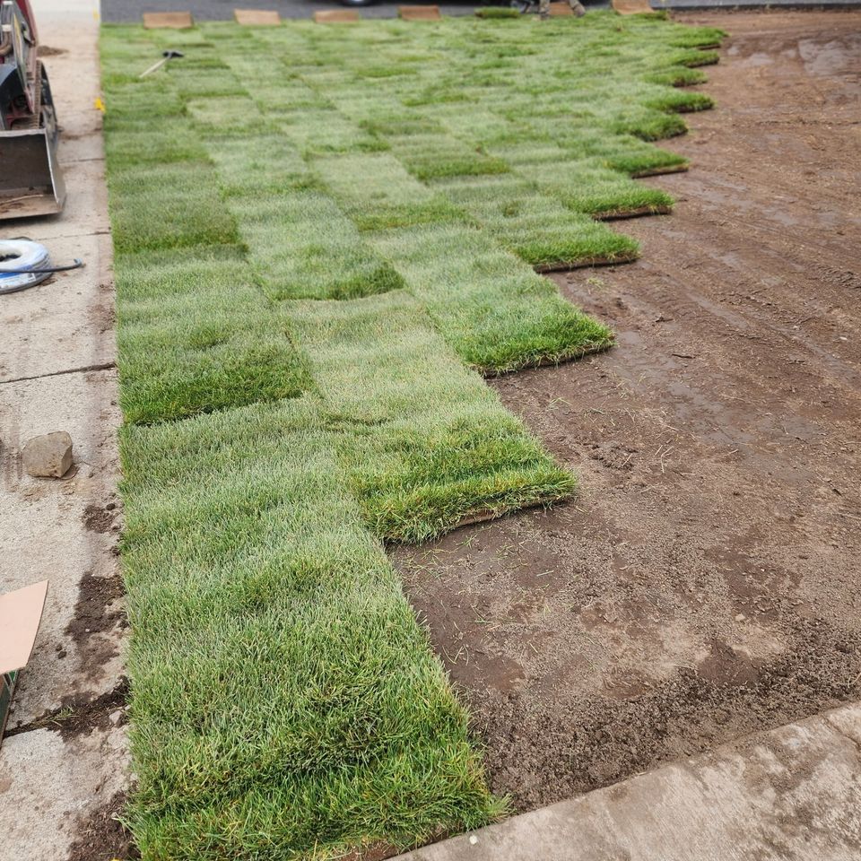 7044619196639223043 original