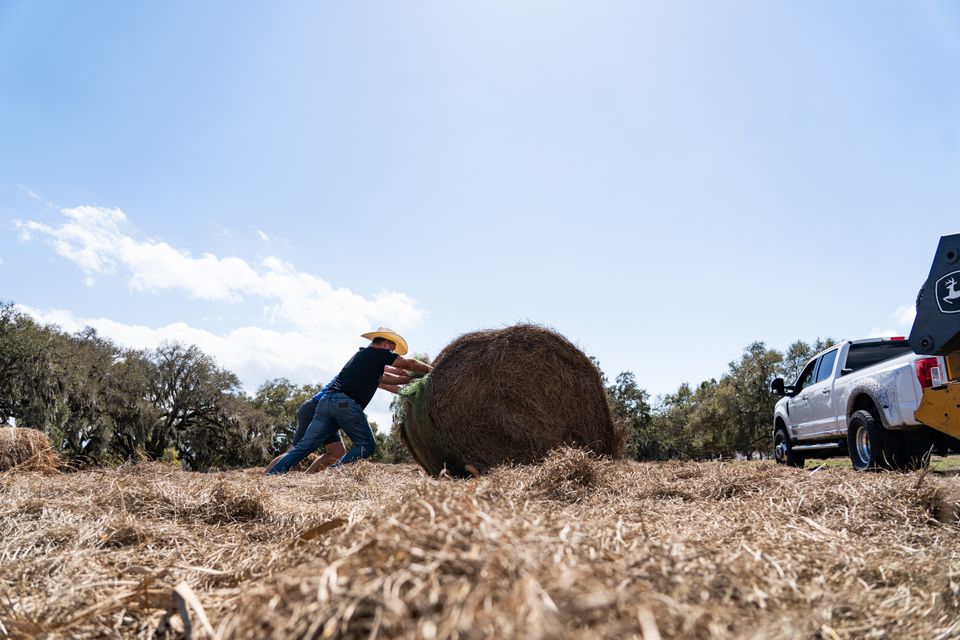Lrn09492