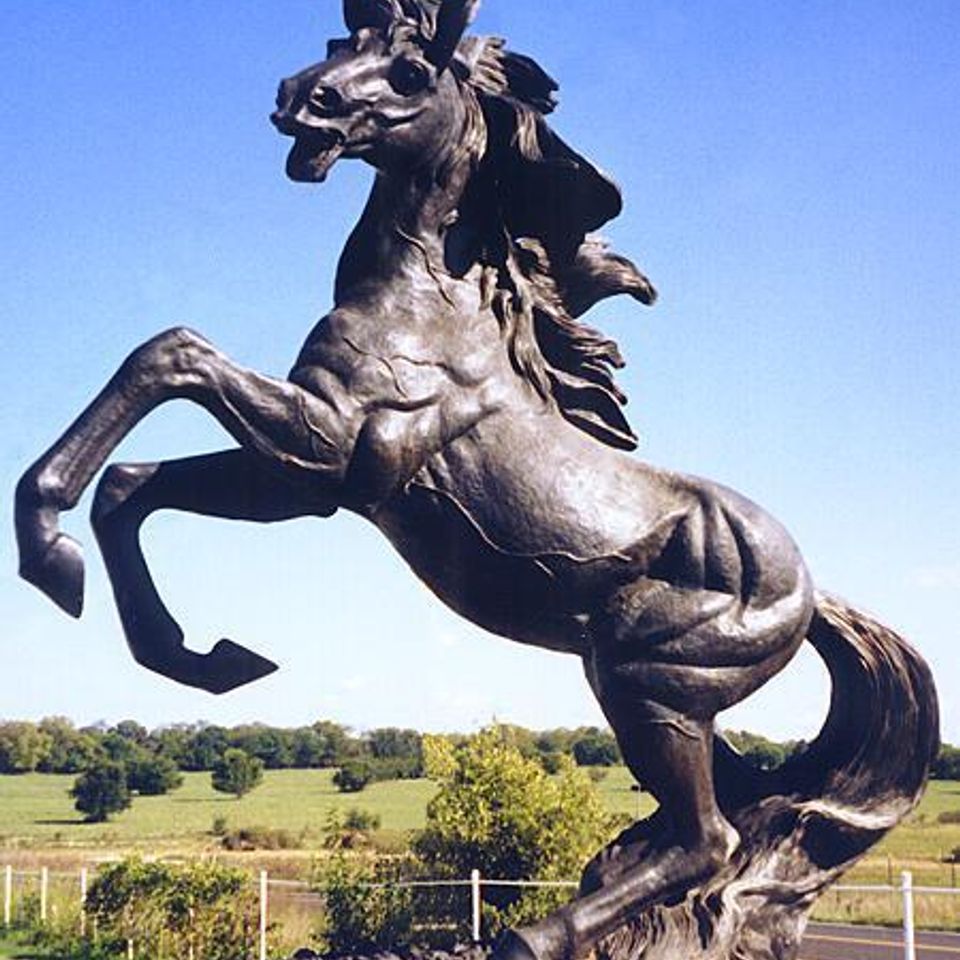 Bronzehorse