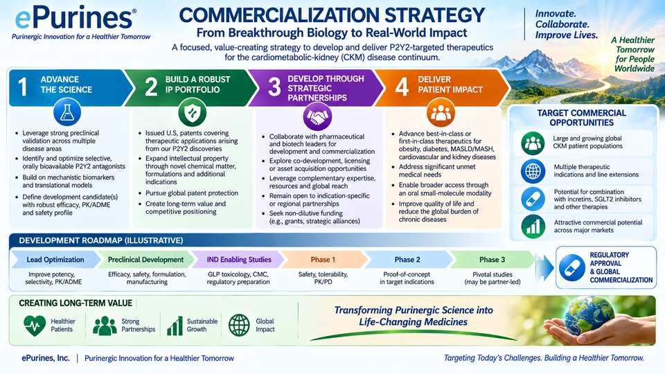 Epurines commercialization strategy