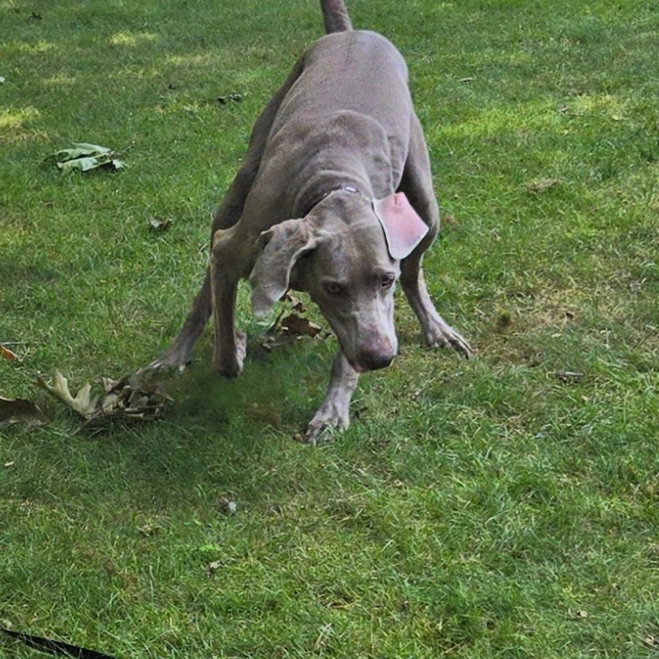 Screenshot 20240726 234737 photos