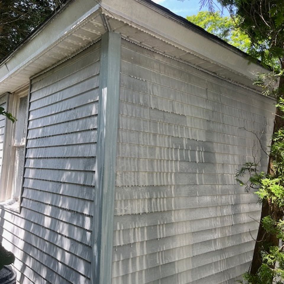 Img 0625