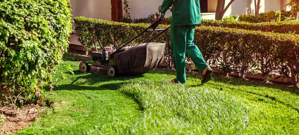 Bigstock man mowing the grass with a la 287892790