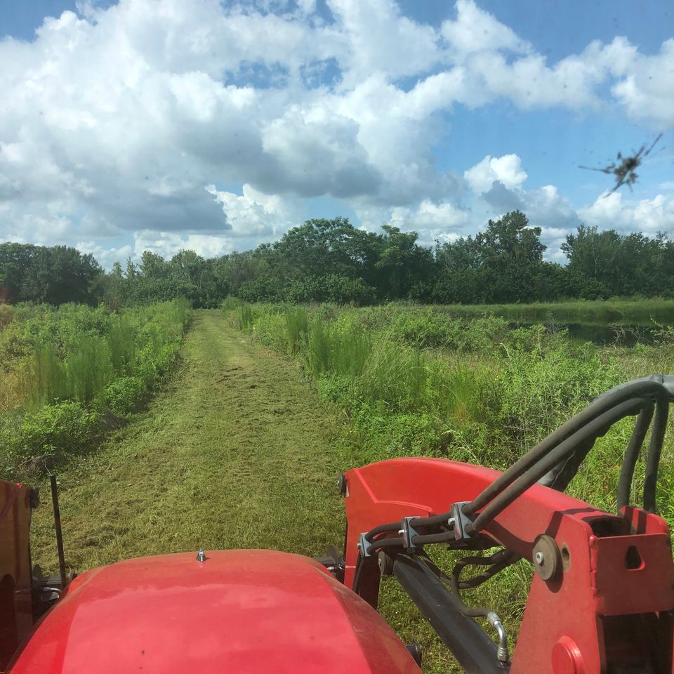 Mowing1c