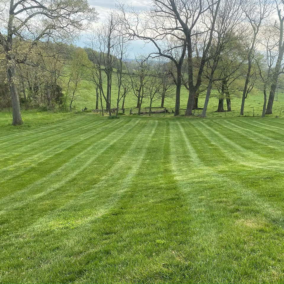 Mowing landscaping johnson city55