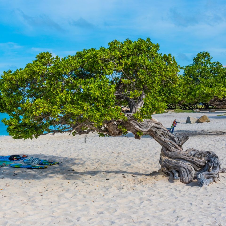Adobestock 223236976