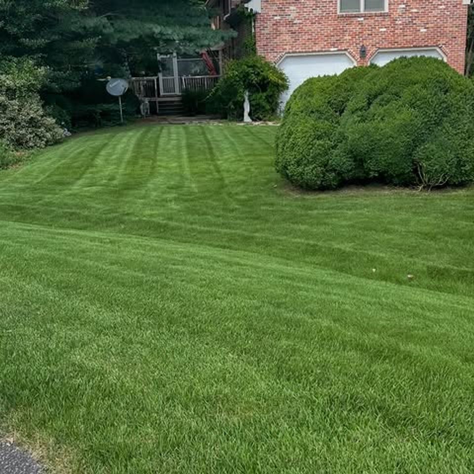 658446194 18065104607404080 1170568434760532621 n.