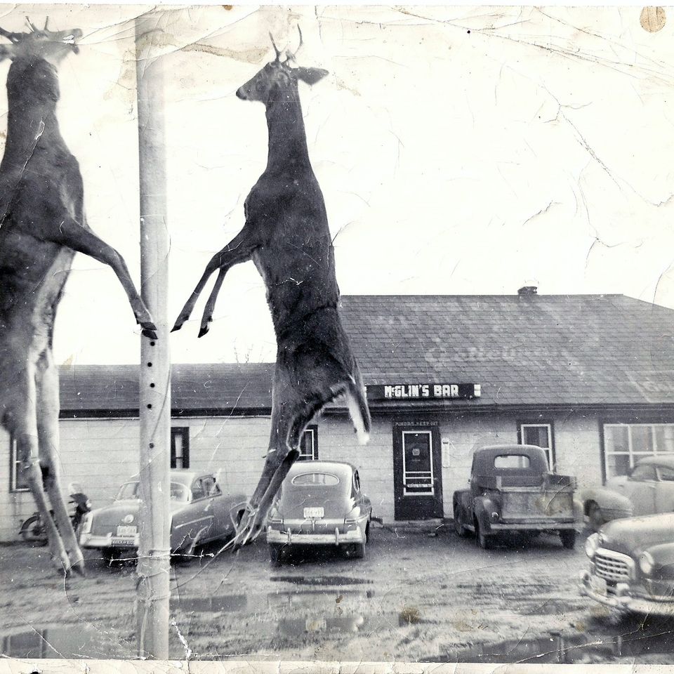 1950 deer  at mcglin's