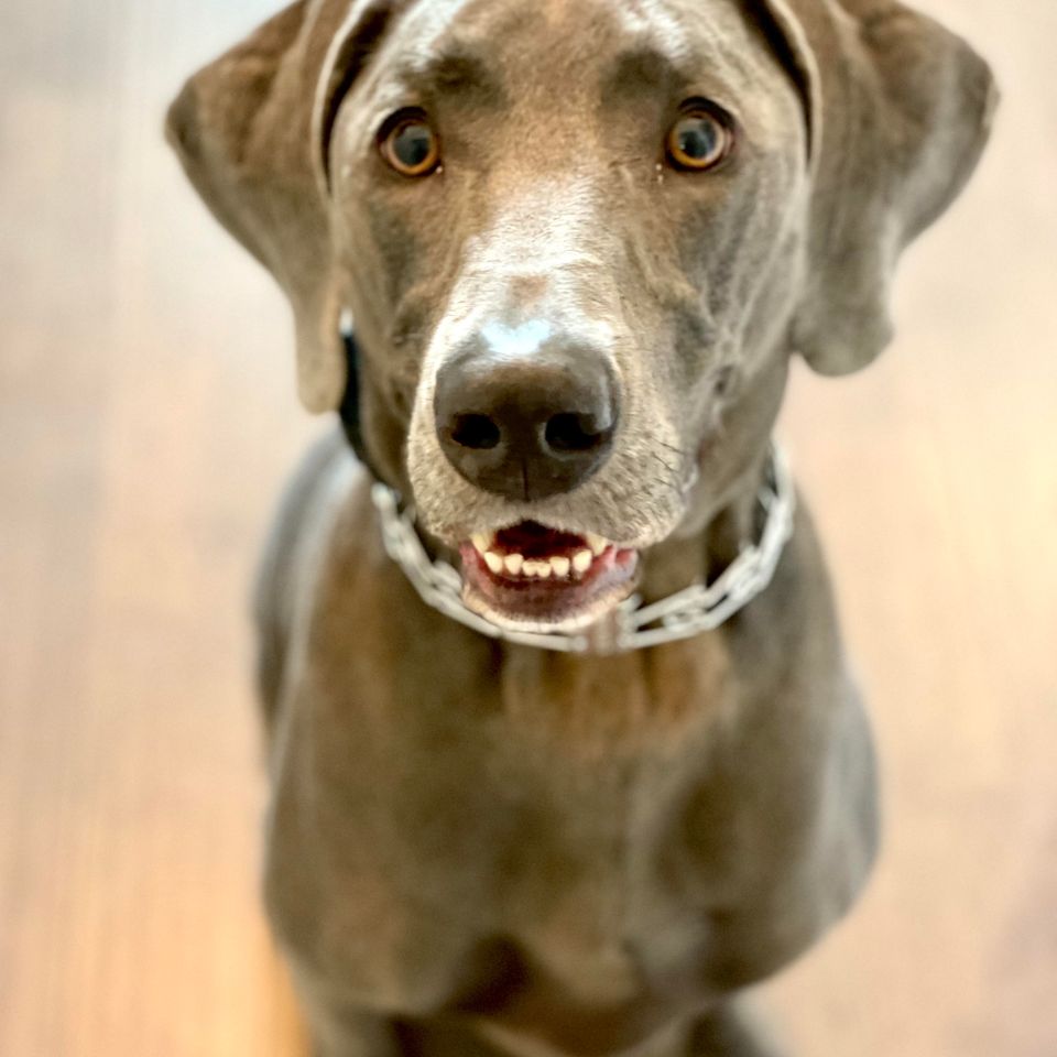 Remington