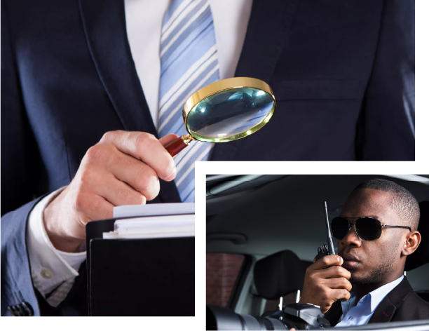 Private investigator
