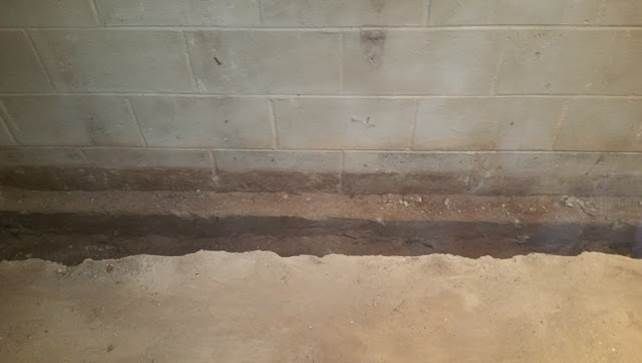 Picture11