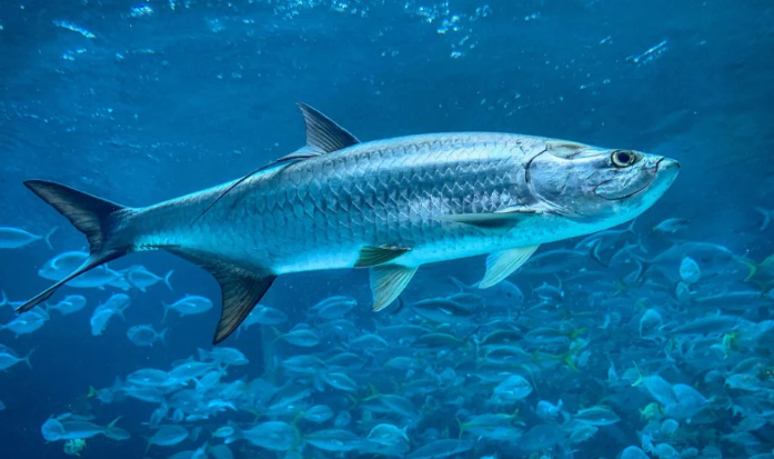 Screenshot 2026 02 24 at 10.30.24 am