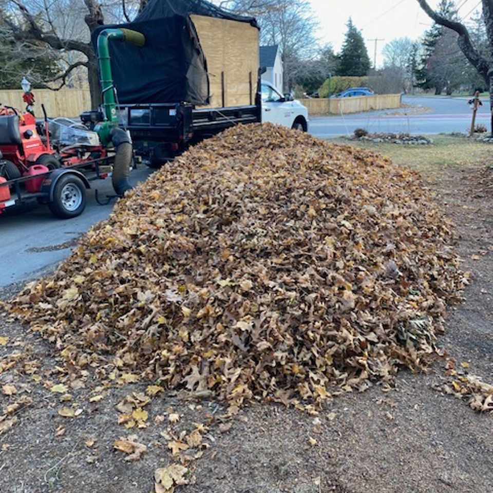 Sullivan cleanup leaves truck1