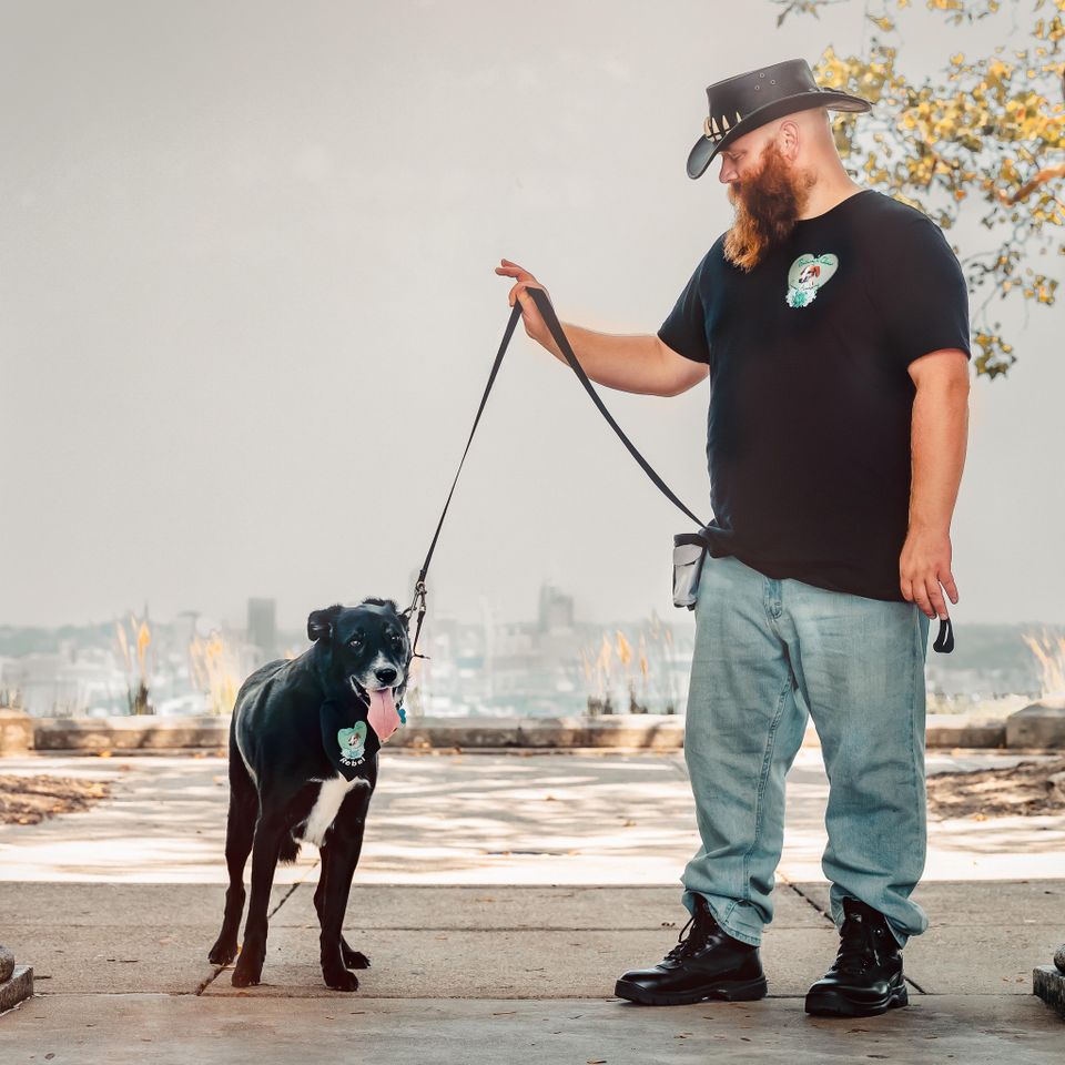 Clever canines academy5