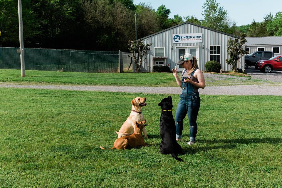 Kindred spirts dog training 9