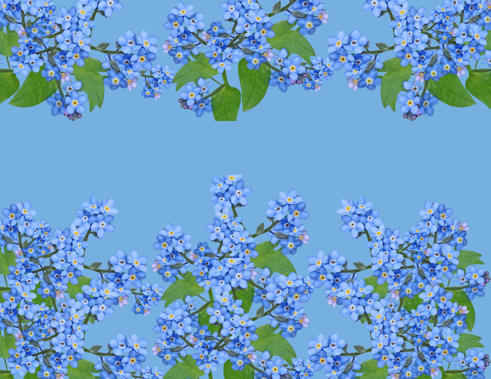 Untitled design (7)