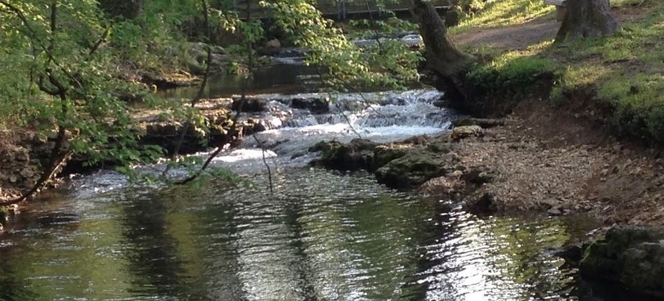 Taylor creek