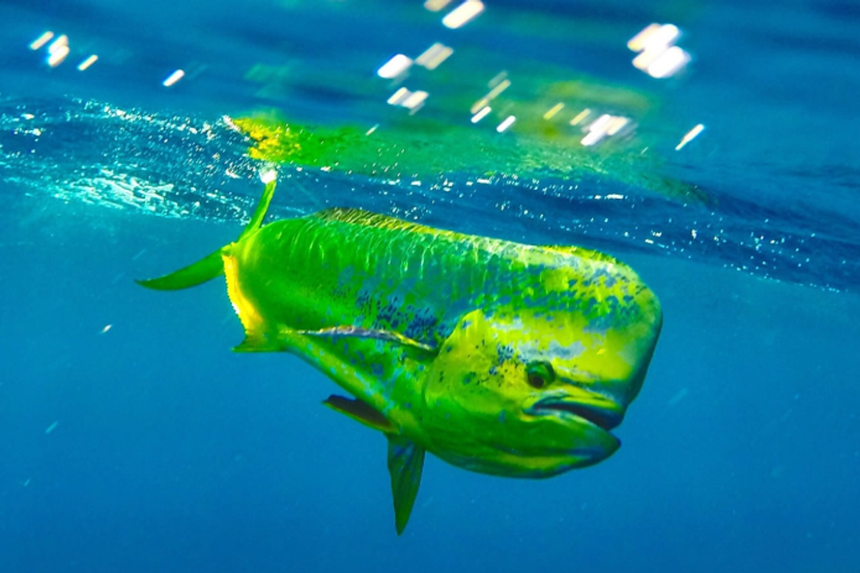 Screenshot 2026 02 24 at 10.19.58 am