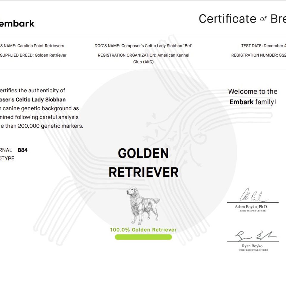 Bel   certificate of breed