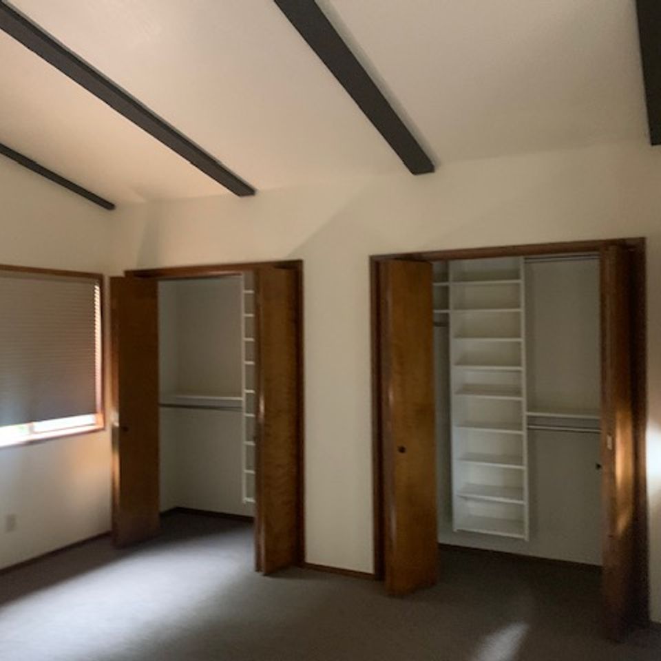 Img 1546