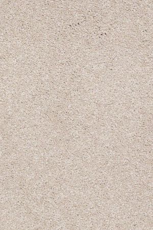 Timeless appeal iii 12'   oatmeal  5.99