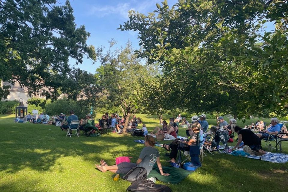Picnic   party 3
