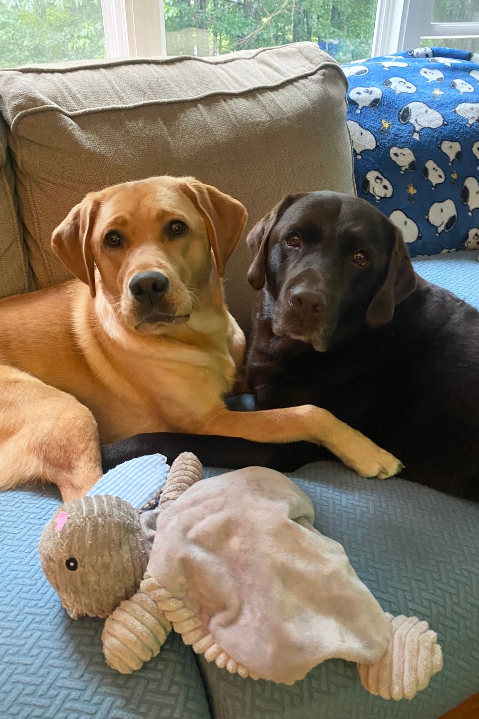 Charlieandsadie