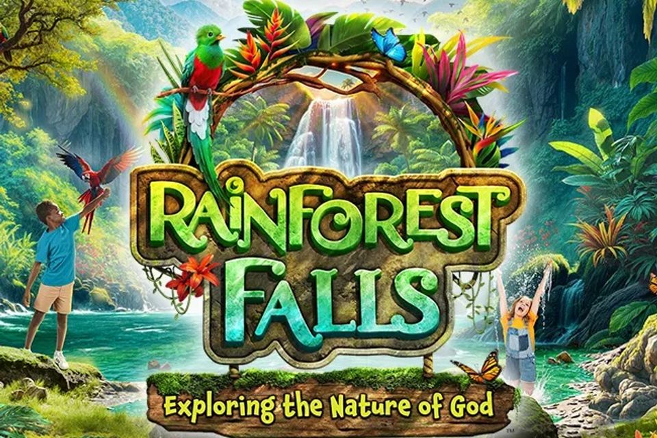 Rainforest falls vbs 2026 theme card