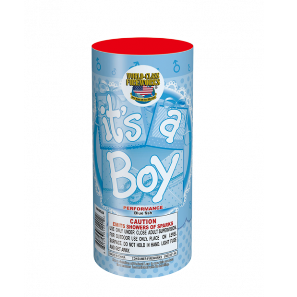 Boy cv