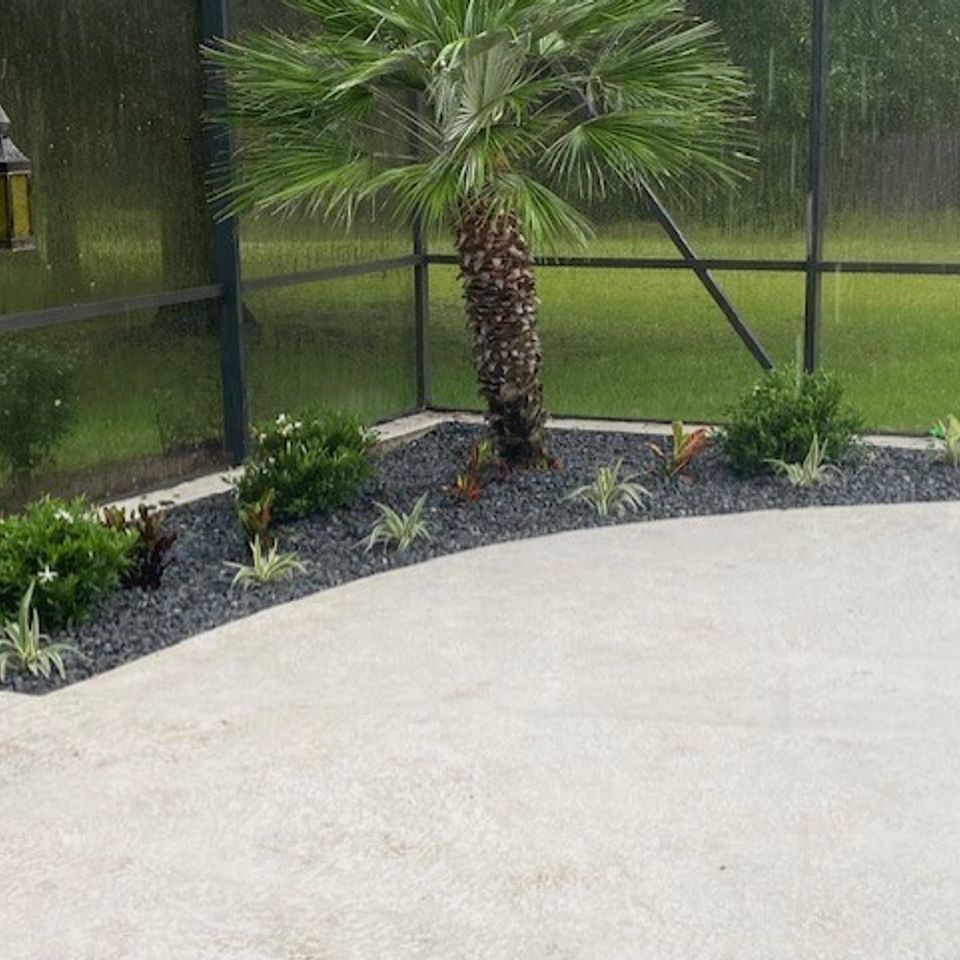 Connor pool bed after