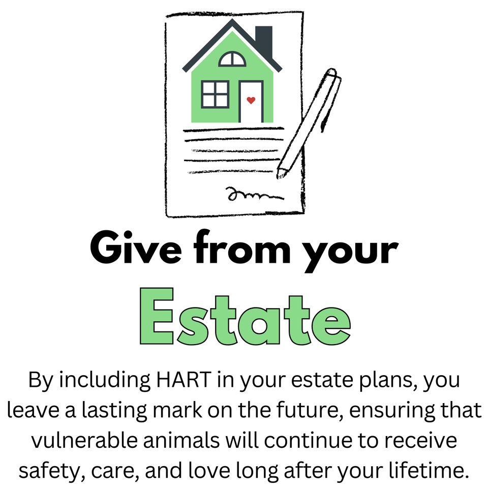 Donate to (instagram post) (3)