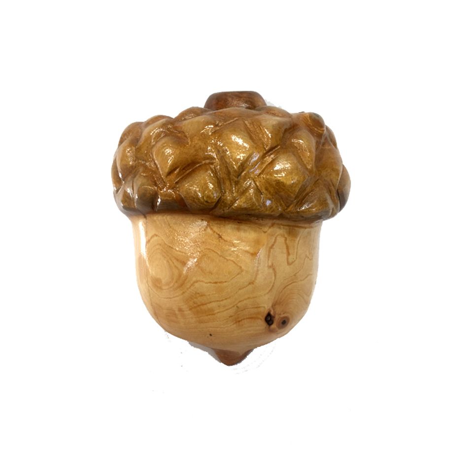 Acorn20180430 539 w3exv