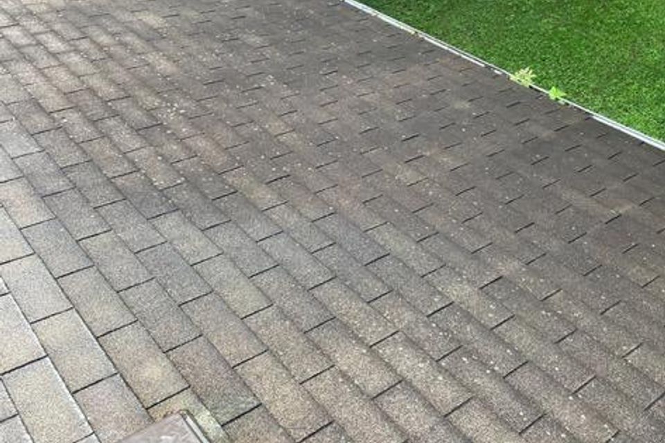 1000000586
