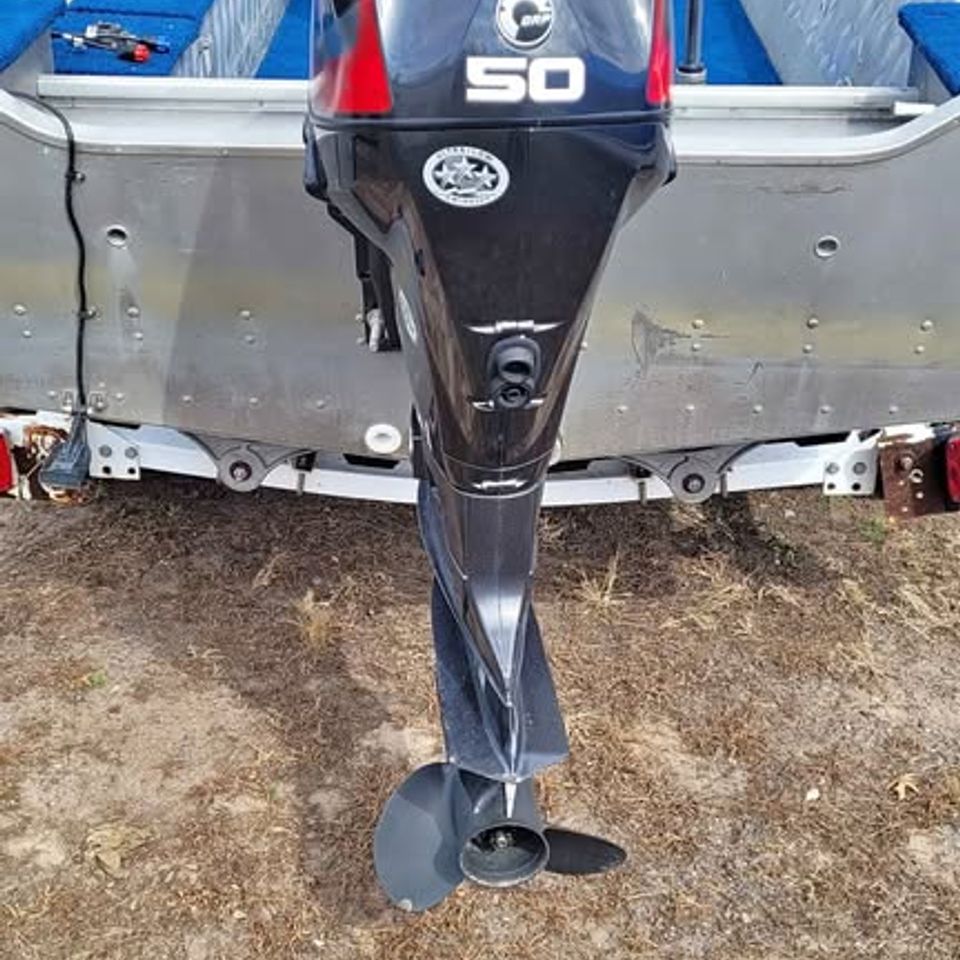 86 nymph
