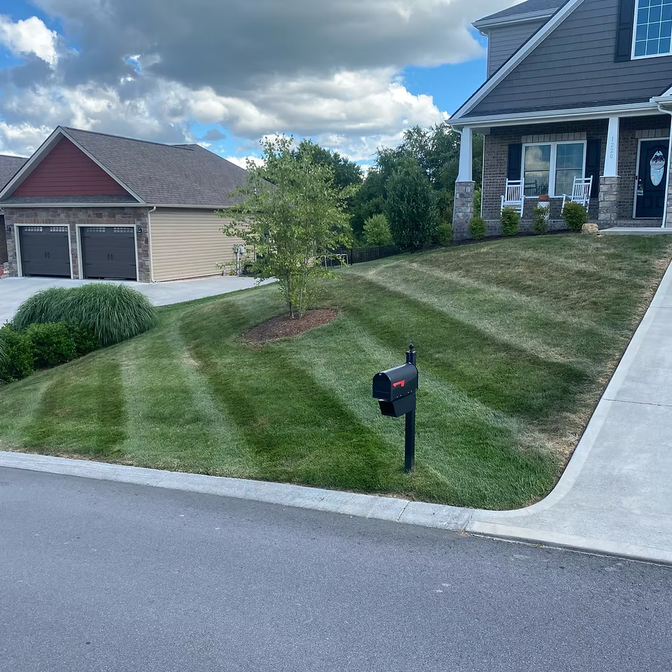 Mowing landscaping johnson city59