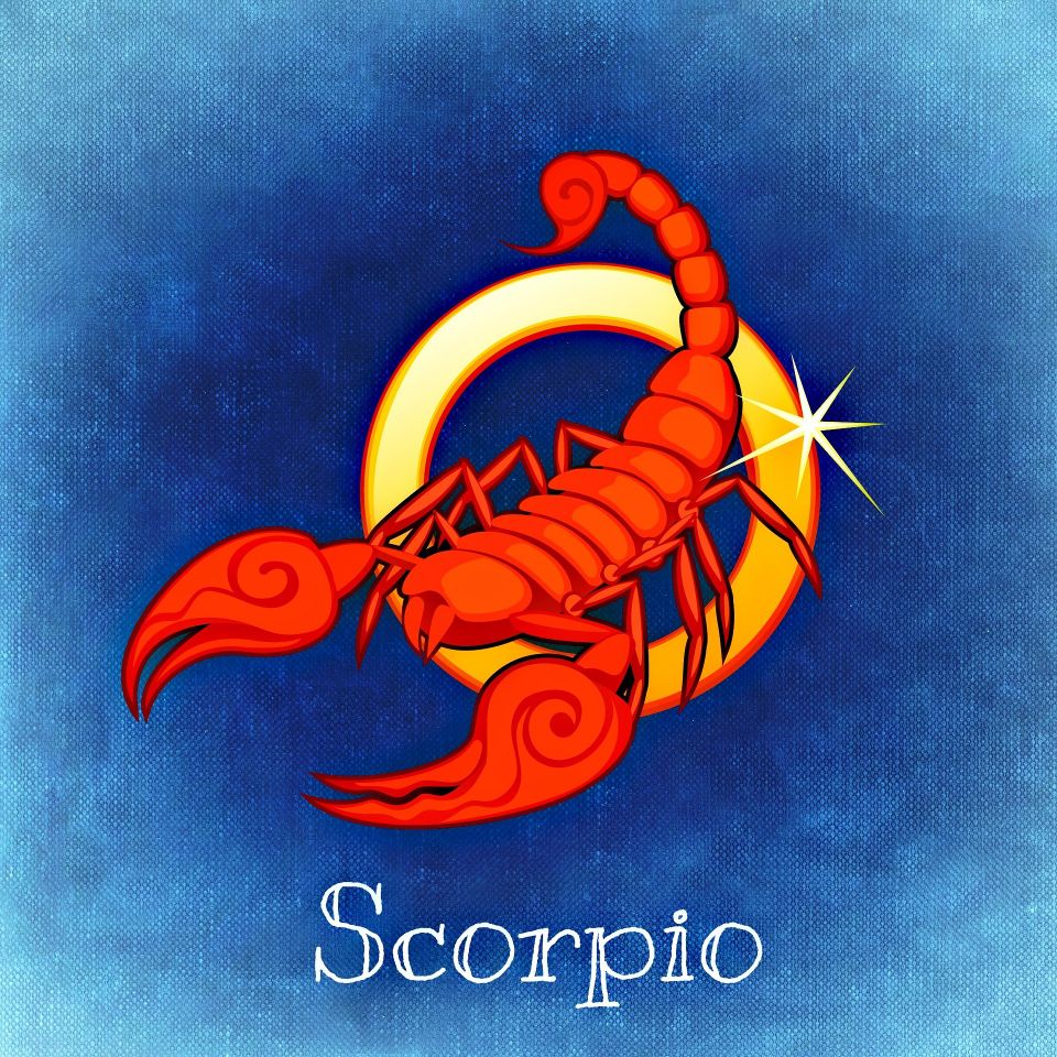 Scorpio gc175eedc2 1920