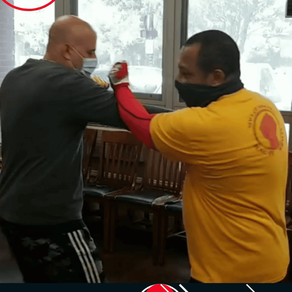 New banner for new path wingtsun kung fu new site
