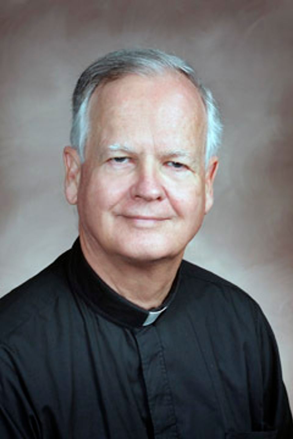 Father michael mannion