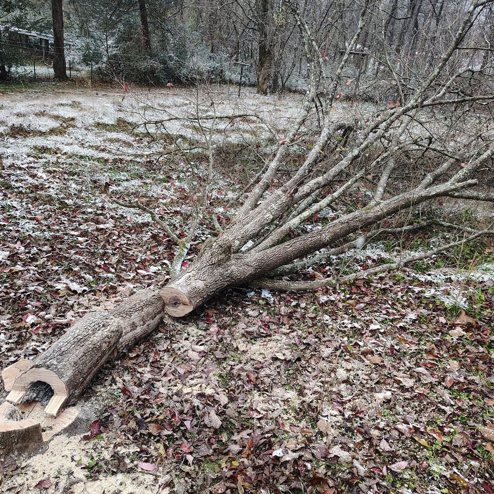 581280179 122102904345107789 9218229517983768070 n