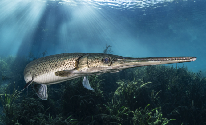 Screenshot 2026 02 24 at 12.52.46 pm