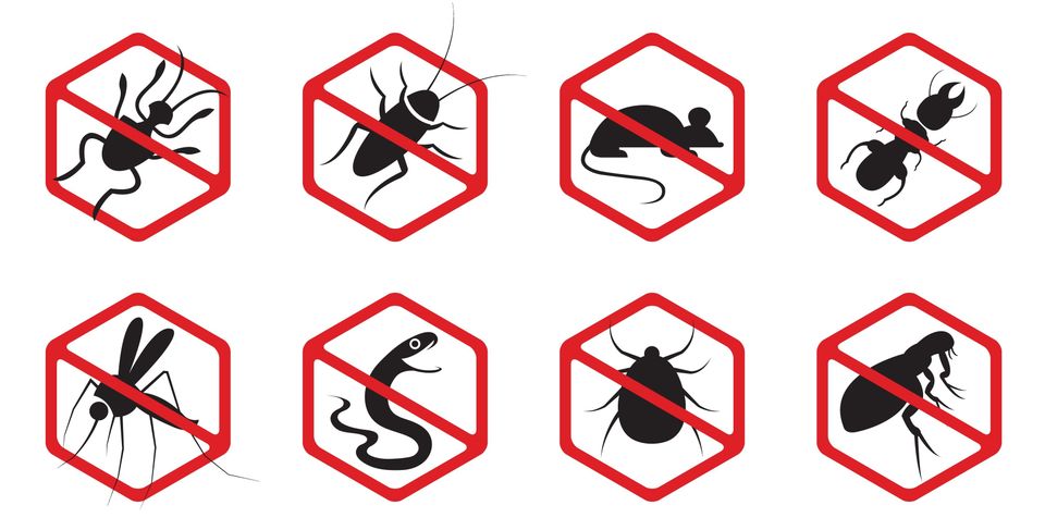 Holloman Exterminators, Pest Control, Termite Control, Harnett County Pest Control