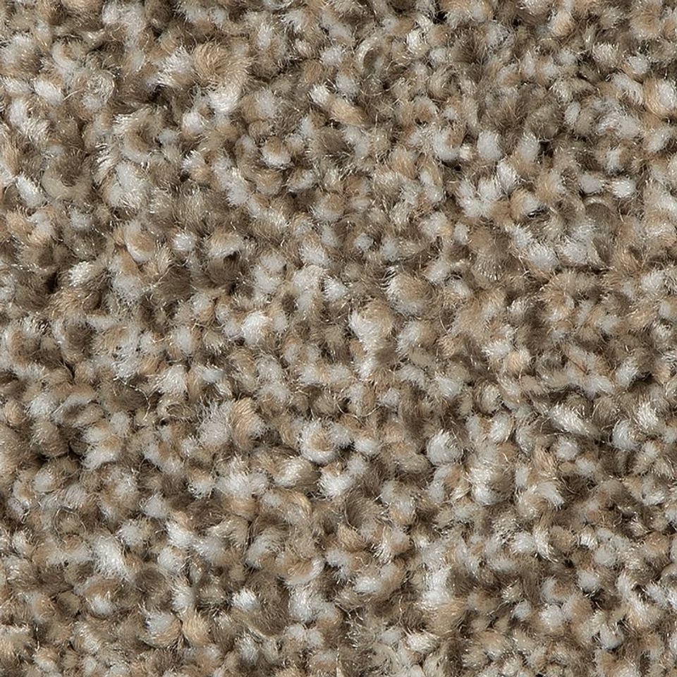 Sp966 859 quiet neutral 1800x1800