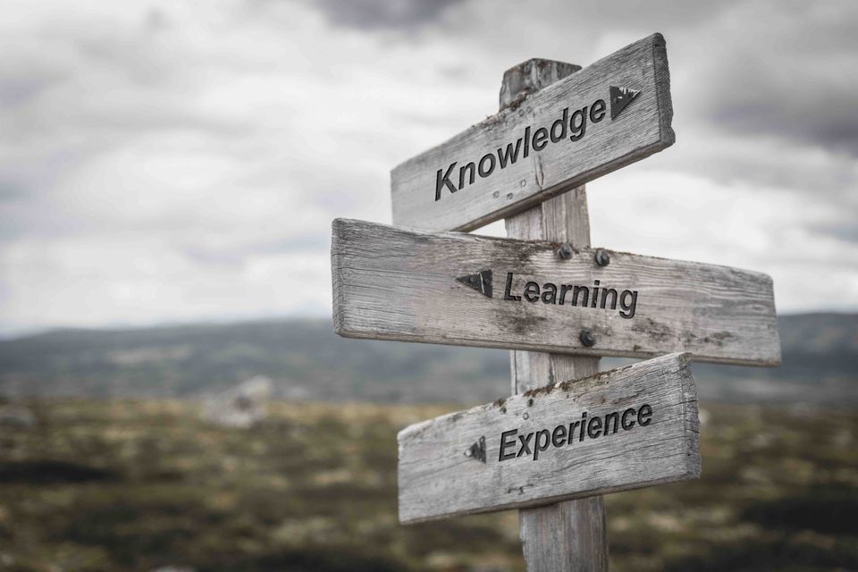 Ideal directories how to turn your past work experience into a flourishing online business  