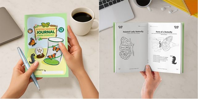 Playworks playbook   first edition